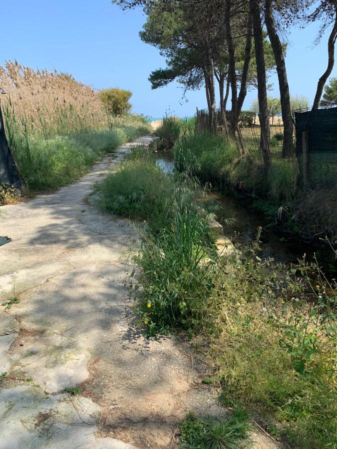 La Dimora In Riva Al Mare Vieste Exterior foto