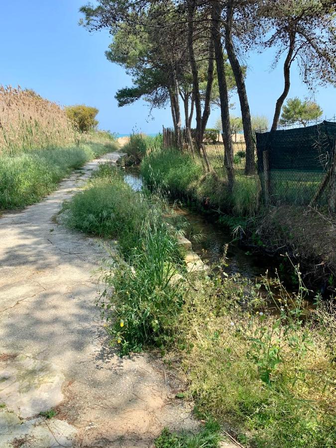 La Dimora In Riva Al Mare Vieste Exterior foto